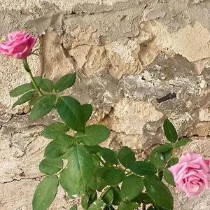 Aletheia Appartamento